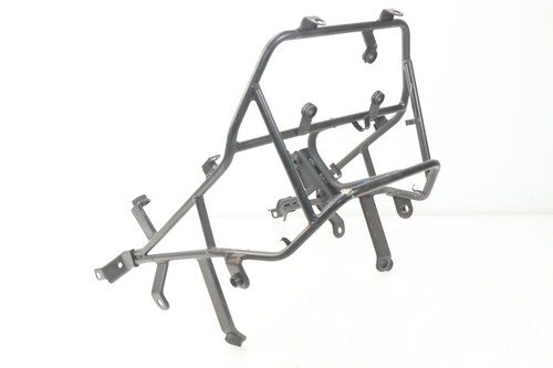 Araignee tete fourche - tete,