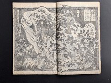 Livre imprimé japonais