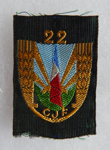 Insigne béret du - insigne, de