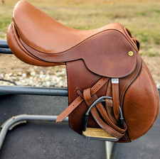 Cliff Barnsby 17.5” jumping