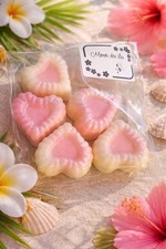Sachet Fondants Parfumés