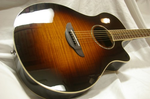 Yamaha apx600 - yamaha,