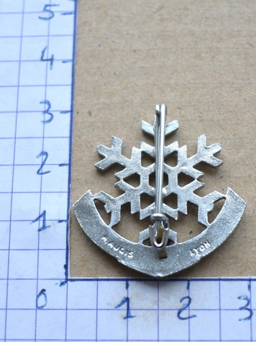 Bel insigne médaille ski esf - insigne,