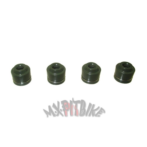 Valve stem seals - seals, daytona