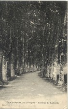 LA COQUILLE avenue de labarde