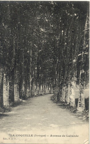 Coquille avenue labarde - de,
