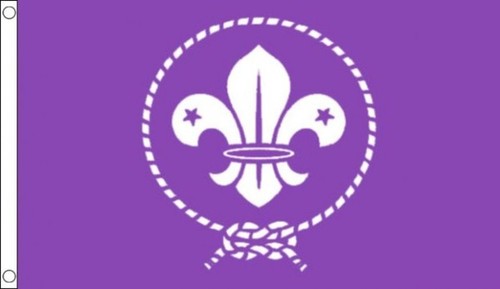 Drapeau scouts violet 90x60cm - drapeau,