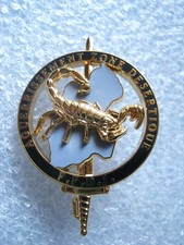 BREVET COMMANDO AGUERRISSEMENT