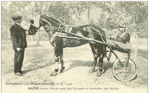 hippisme.n°35964.jalyse.noire