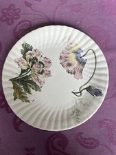 Assiette Ancienne Terre De Fer Polychrome Coquelicot  Faïence Du 19eme Siècle
