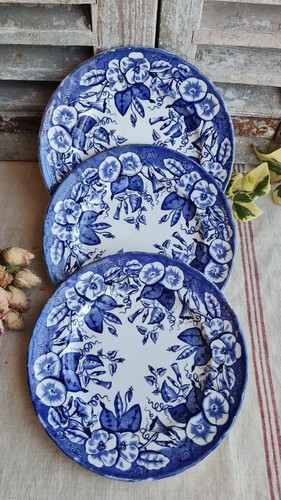 Anciennes assiettes plates - 3,