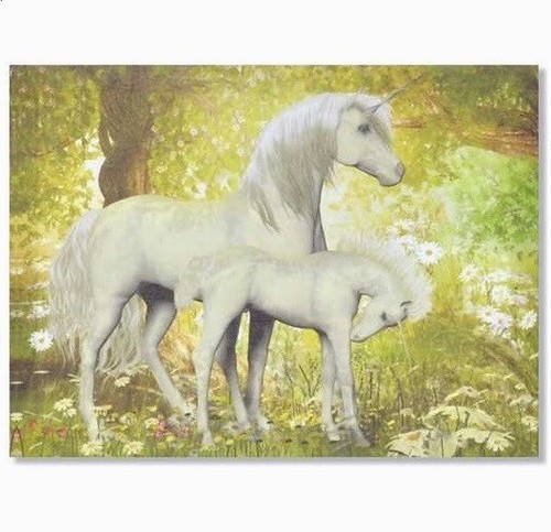 Cadre toile tableau licorne - cadre,