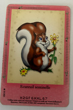 C51 carte bella sara ecureuil - c51/,