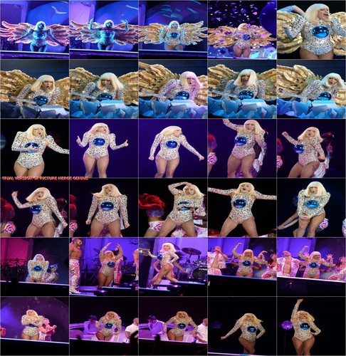 Lady gaga 17500 candid photos - gaga,
