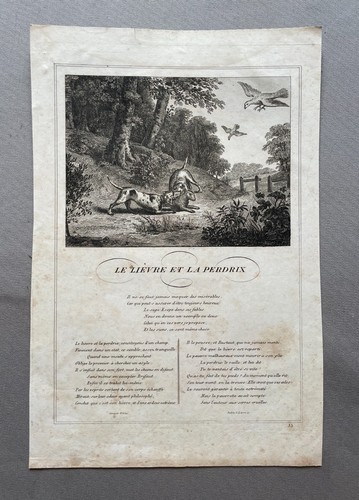Lièvre la perdrix - lièvre, et