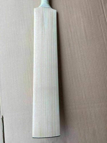 Batte cricket anglaise - 1,
