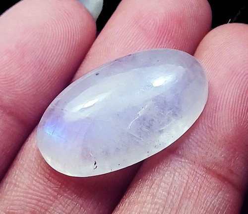 100 naturel blanc - 100%,