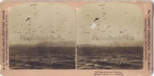 Au large de Gibraltar Mer UK Photo Stereo Stereoview Papier Citrate Vintage 
