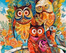 Peinture par numéros avec cadre en bois, hiboux colorés