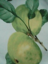 Paire de rideaux panneaux droits 140 x 59 décor pommes