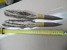 paire de javelot javeloteux