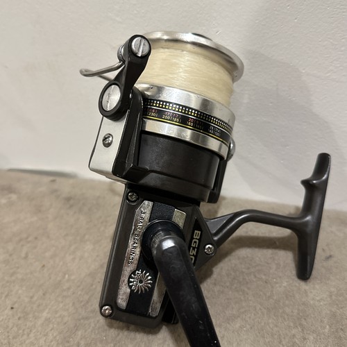 Daiwa bg30 fishing spinning - daiwa,