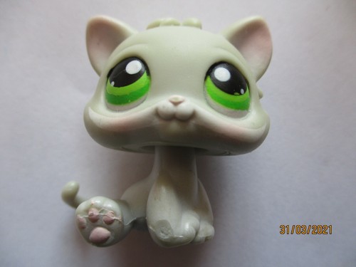 Petshop chaton avec - chaton, n°88
