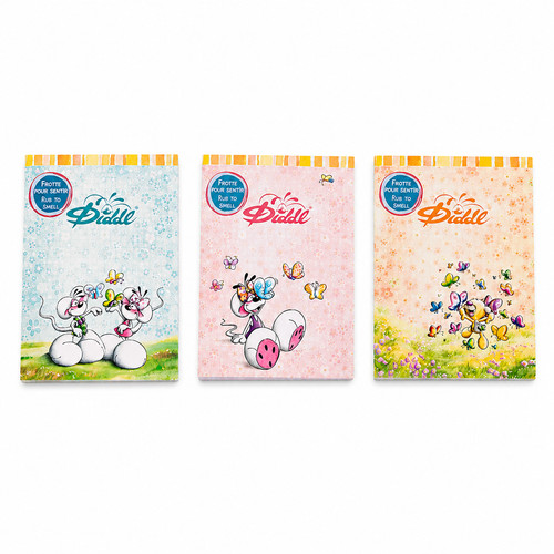 Lot blocs parfumés - lot, diddl