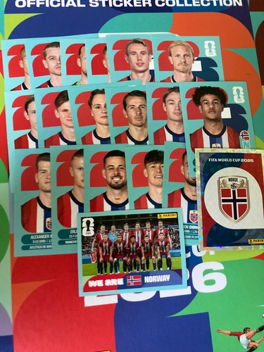 Choix norvege panini - choix,
