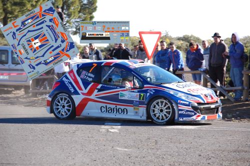 Decals peugeot 207 s2000 - 1/43,