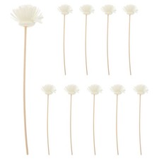  10 Pcs Batonnet Diffuseur