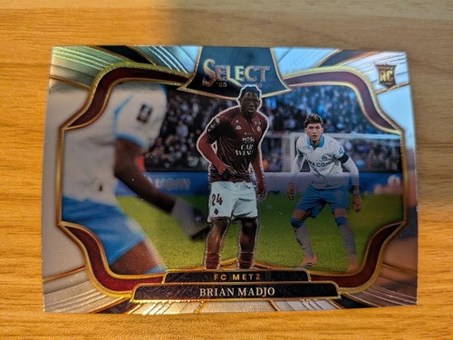 Brian madjo metz panini - brian, rc