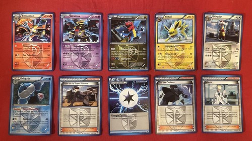 2013 pokémon team - 2013,