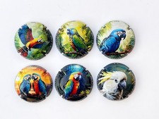 News -Série de 6 Capsules de champagne HAZART ( Les Perroquets )