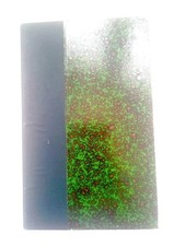 DF00003704 Touchatout | Cours de villégiature : petit guide du parisien à la cam