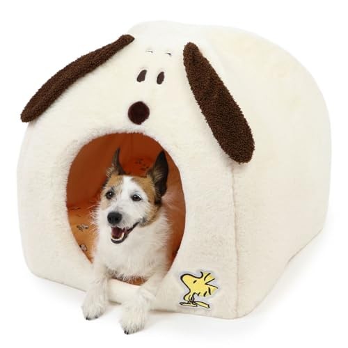 Pet paradise snoopy - dog,