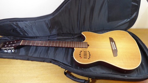 Godin multiac steel duet - godin,