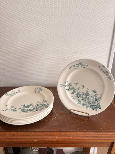 Lot assiette plates - 6,