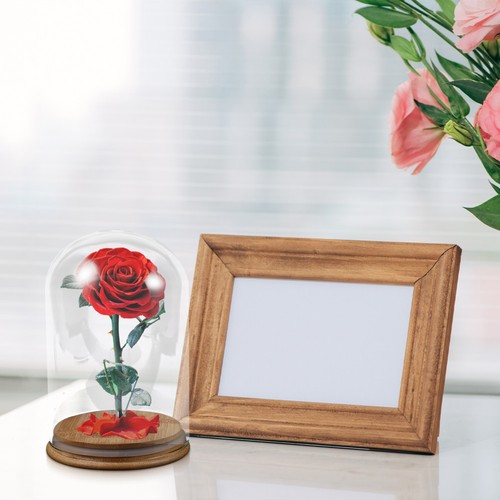 Dôme verre fleurs - dôme, de