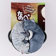 Chat écaille de tortue et