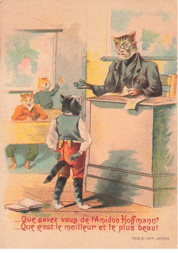 Mikii 358 chromo chats - chromo,