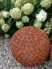 Grille noble boule de buis