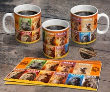 TASSE Mug  Roi lion