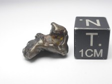 3 g Golden Pallasite Meteorite