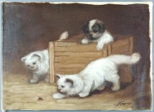 Ancien Tableau "La Mouche" Peinture Huile Toile Oil Painting Kittens Puppy