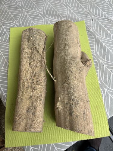 Bois buis boxwood - bois,