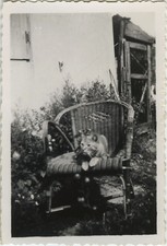 PHOTO ANCIENNE - VINTAGE SNAPSHOT - ANIMAL CHAT FAUTEUIL ROTIN JARDIN DRÔLE -CAT