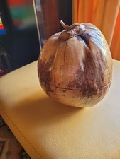 seau a glacons noix de coco