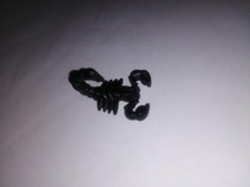PLAYMOBIL * SAFARI * Scorpion