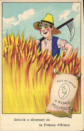 Agriculteur champ blé - agriculteur,